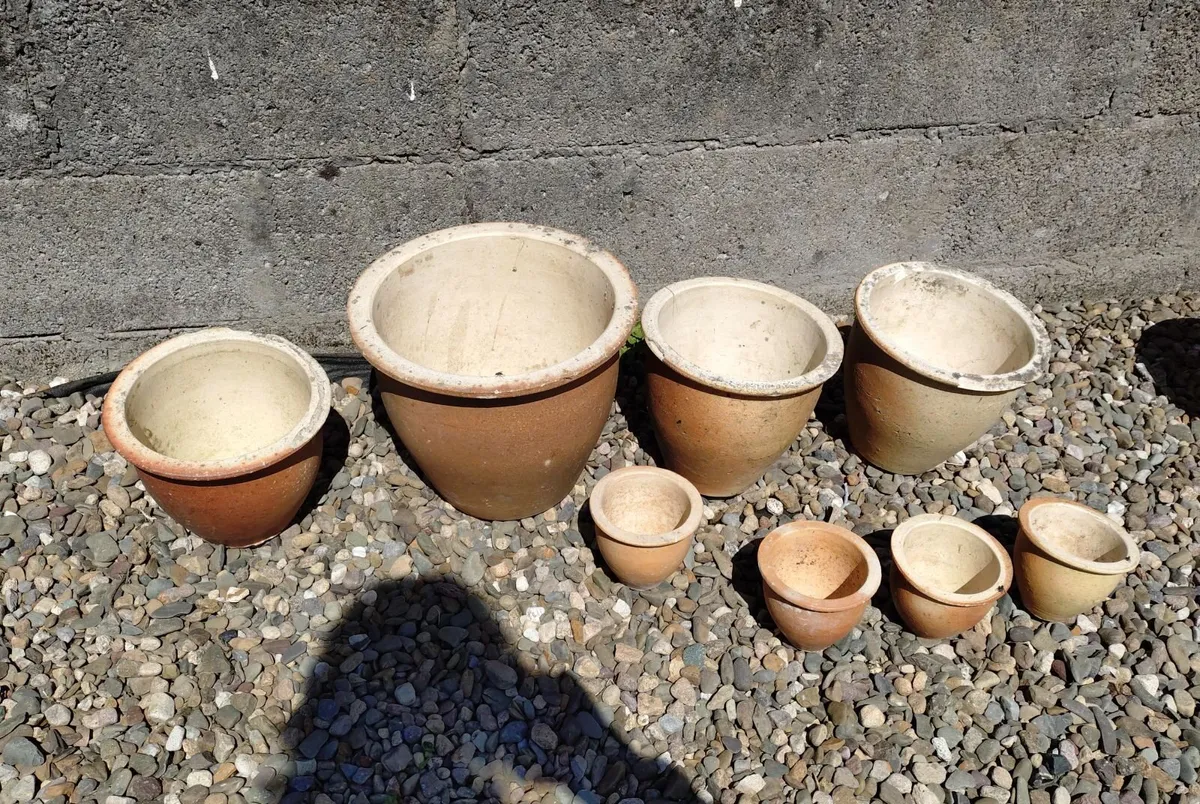 LOTS OF PLANT POTS (USED). - Image 3