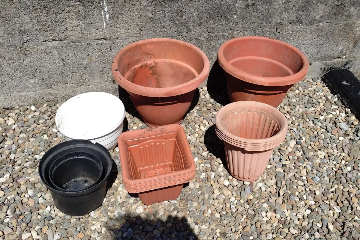 LOTS OF PLANT POTS (USED). - Image 4