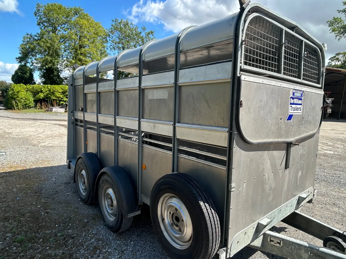 Ifor Williams 12ft Livestock Trailer - Image 4