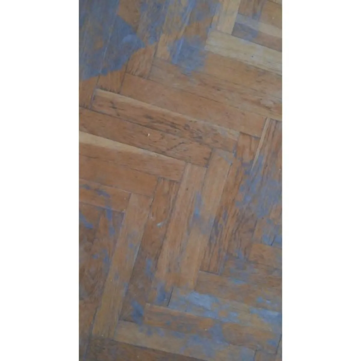 Solid – Oak Parquet – Salvaged/Reclaimed  Price pe - Image 1