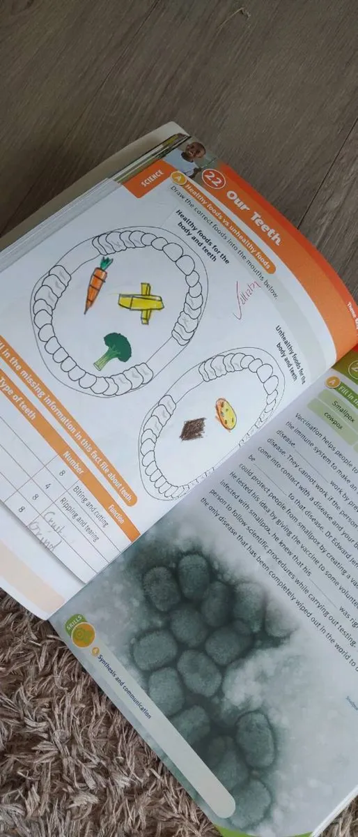 Explore with me 3 activity book - Image 4