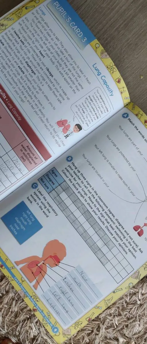 Let's discover 3rd class - Image 3