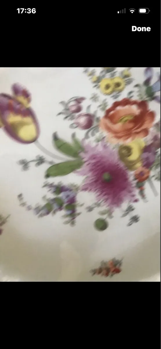 Antique Hand Painted  Meissen Dish - Image 2