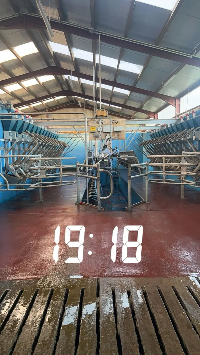 Relief milking available - Image 1