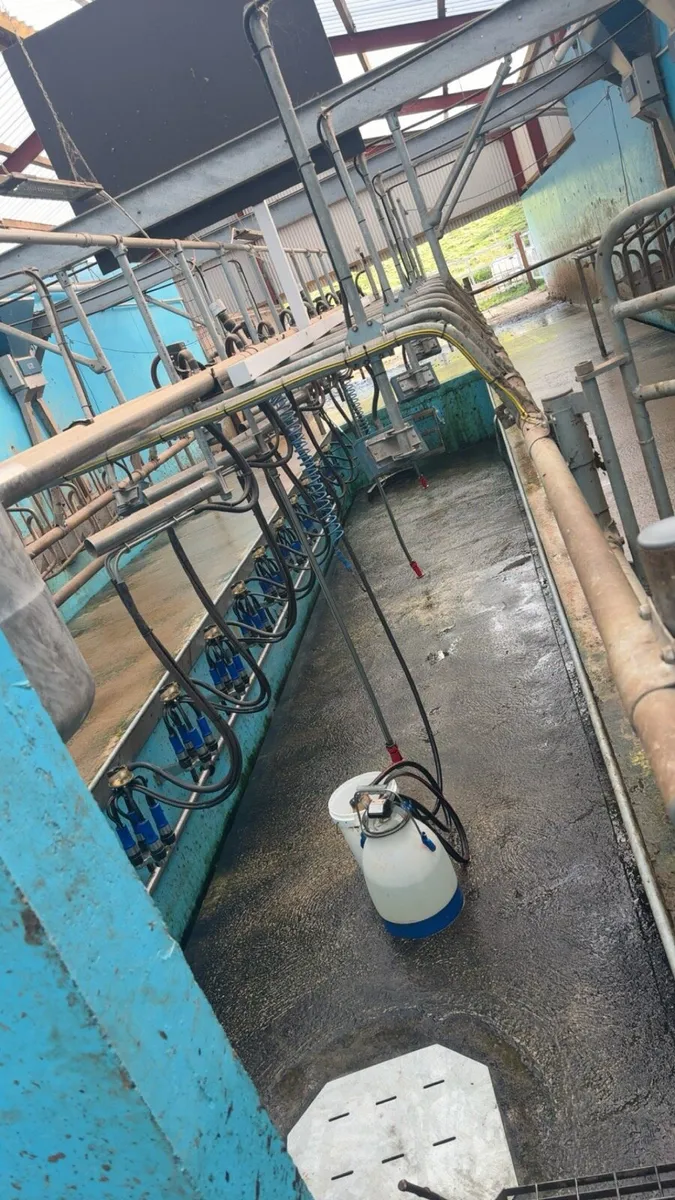 Relief milking available - Image 2