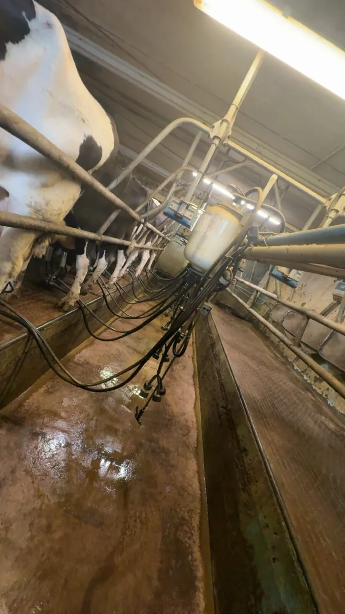 Relief milking available - Image 3