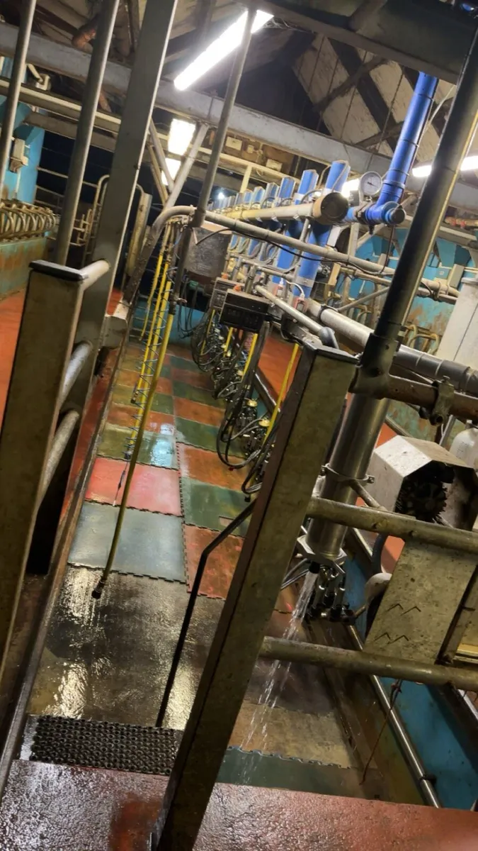 Relief milking available - Image 4