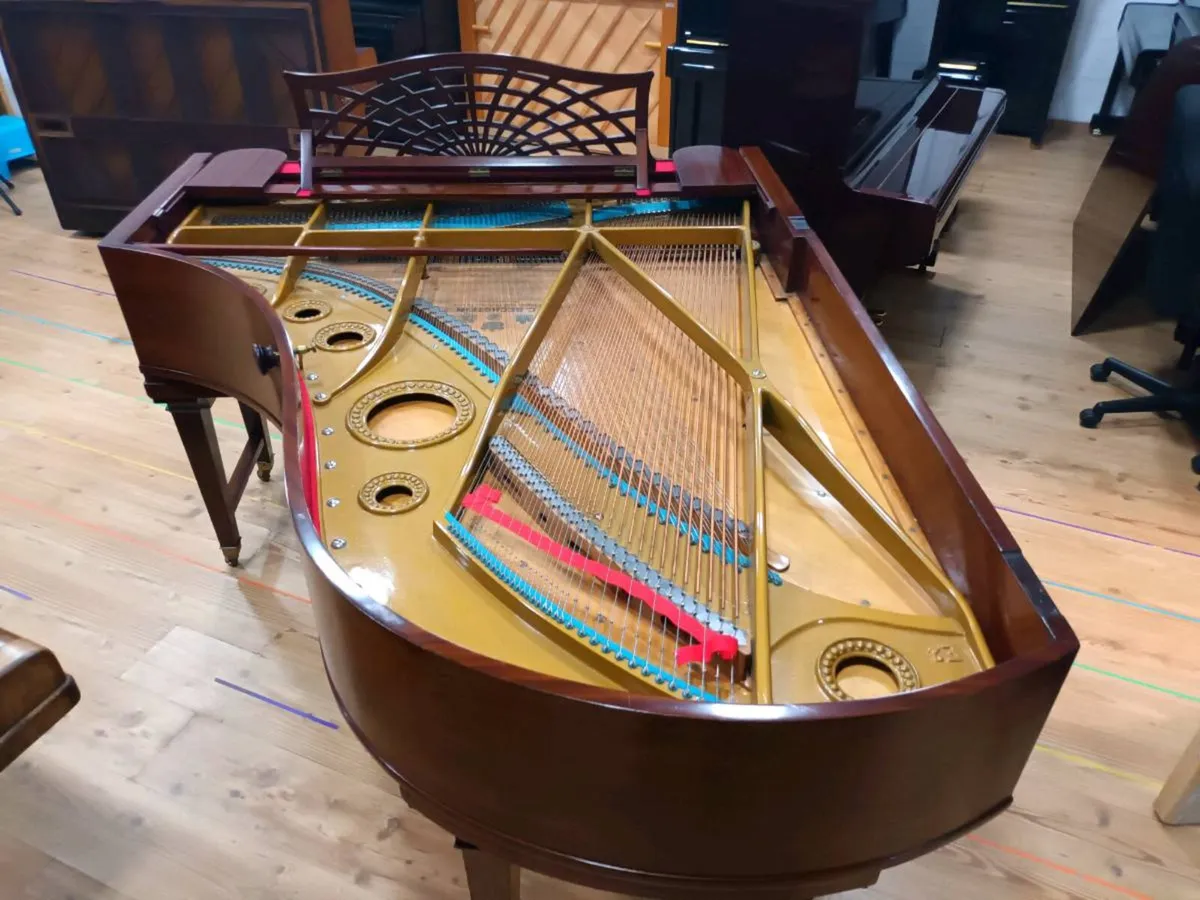 Bechstein Model B | Restored/Rebuilt - Image 2