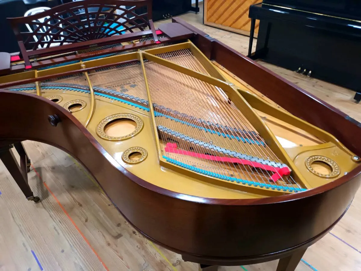 Bechstein Model B | Restored/Rebuilt - Image 4