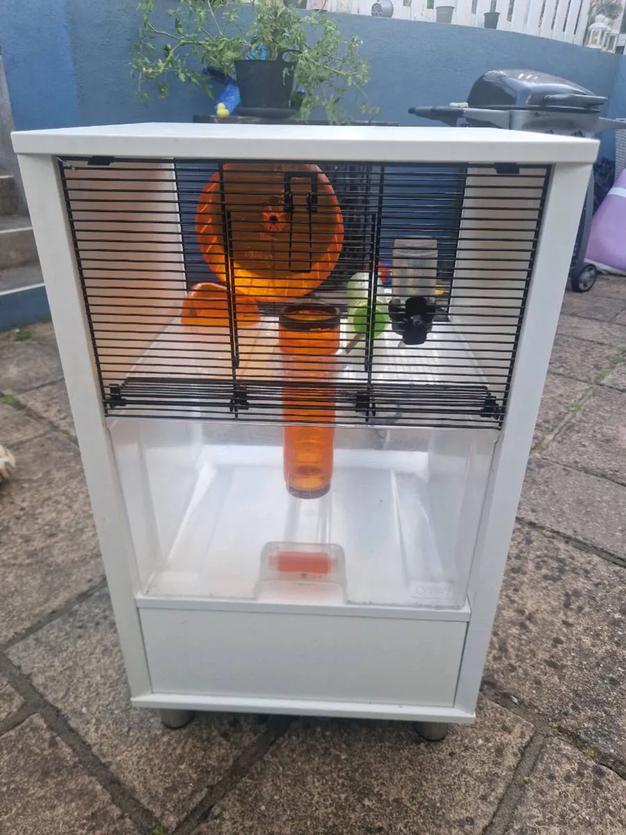Hamster Gerbil cage - Image 4