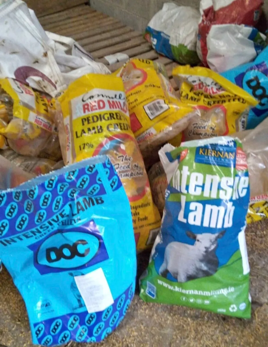 25kg Plastic Bags