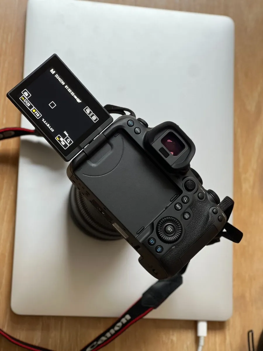 Canon R6 Mark II + RF 24-70mm f/2.8 - Image 3