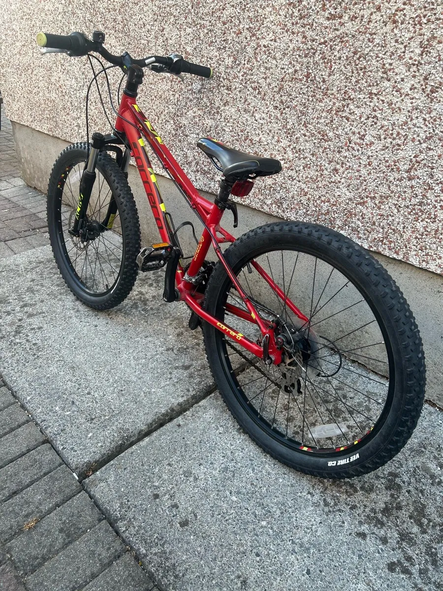 Carrera Blast 24" Junior Mountain Bike - Image 4