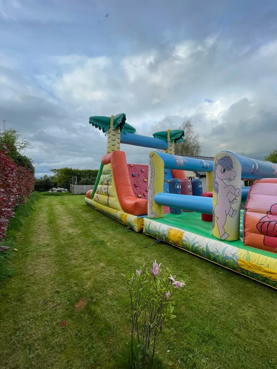 Bouncy Castles - Image 3