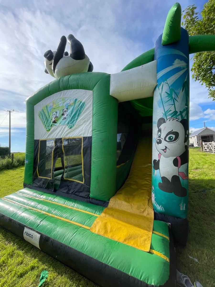 Bouncy Castles - Image 4