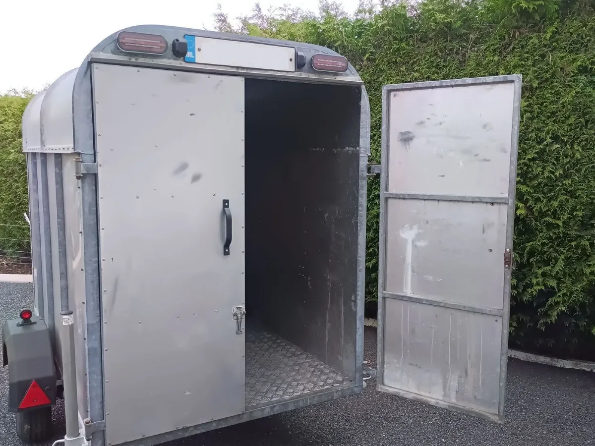 Murphy’s Enclosed Box Trailer (Fully Refurbished) - Image 4