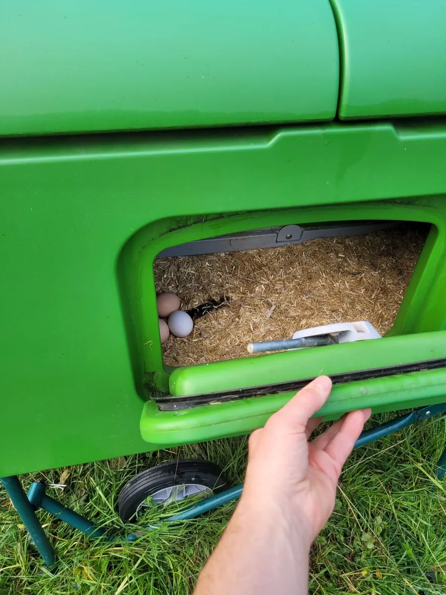 Omlet Chicken Coop - Image 3