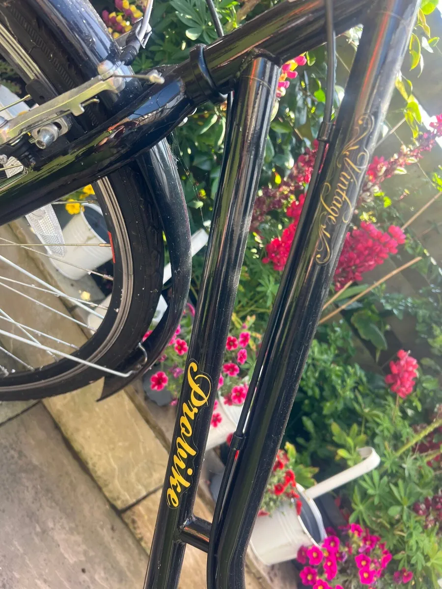 Ladies Bike - Image 2