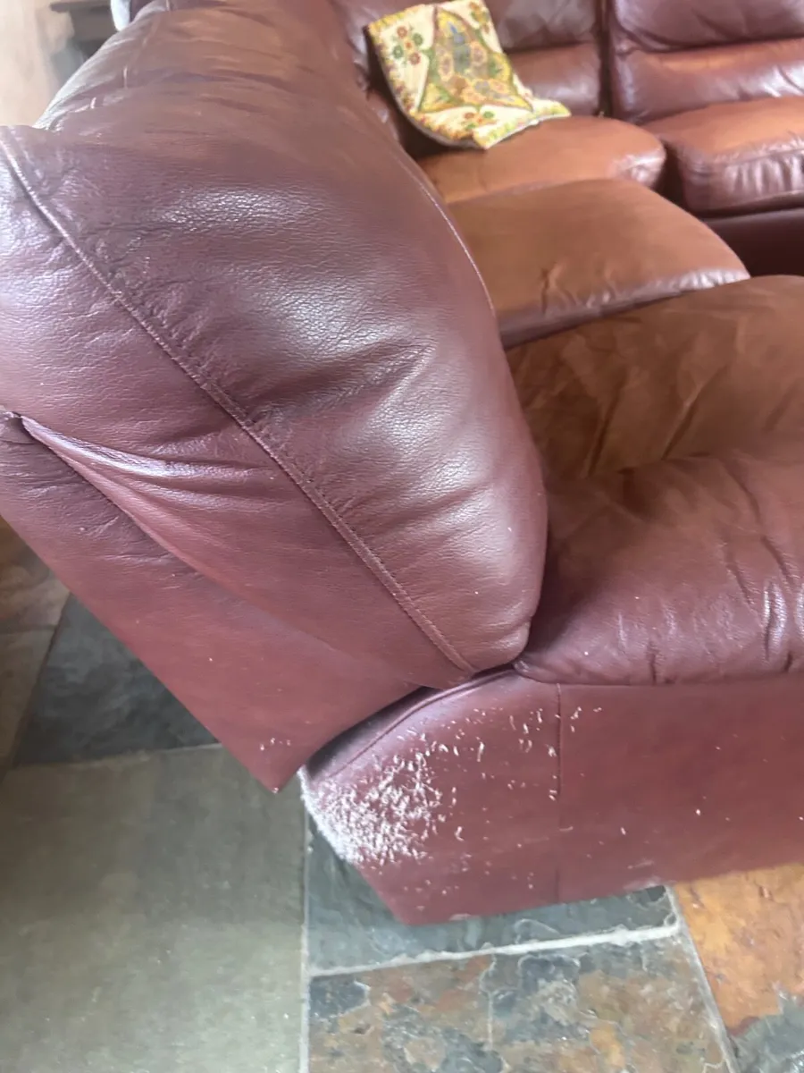 Leather suite - Image 3