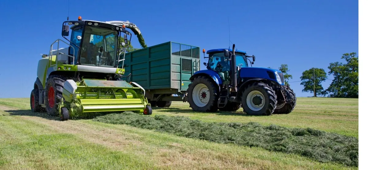 Silage ground - Image 2