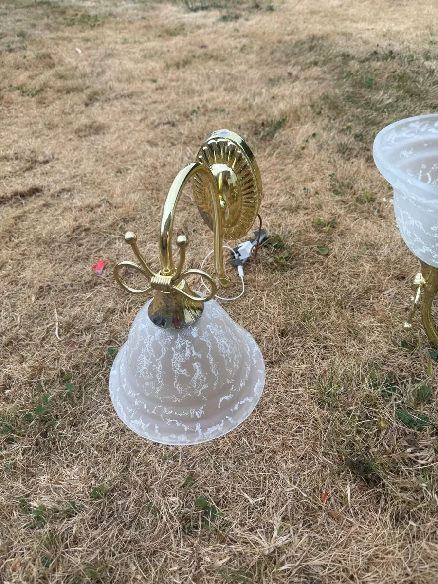 Lampshade - Image 2