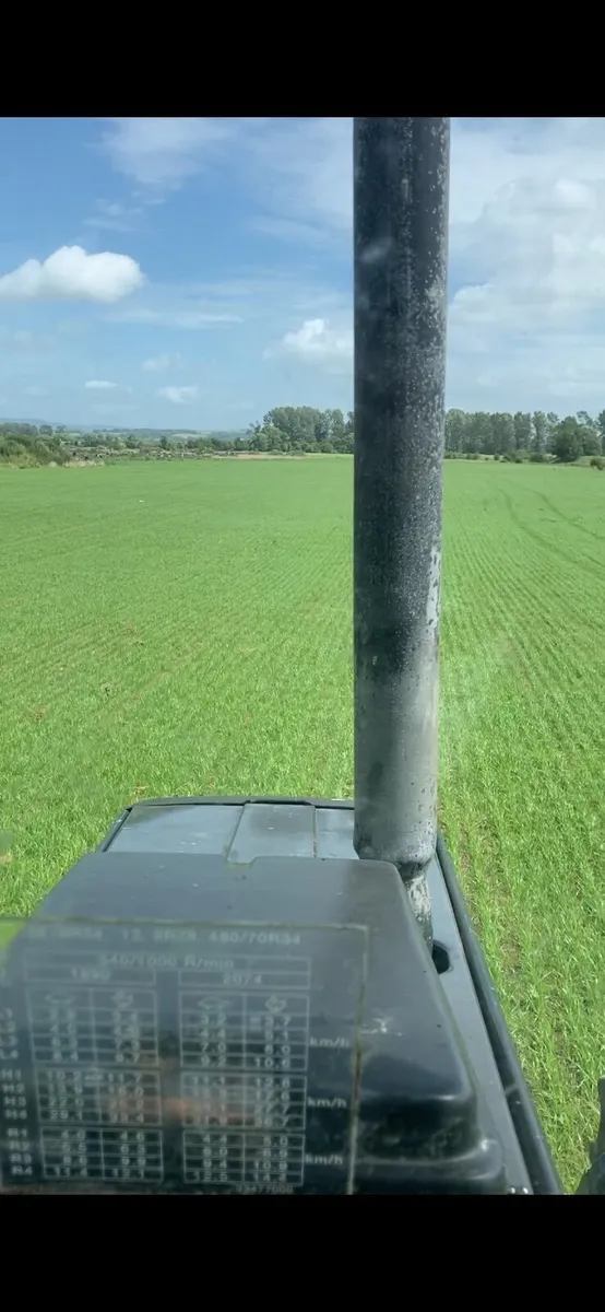 Silage ground - Image 3