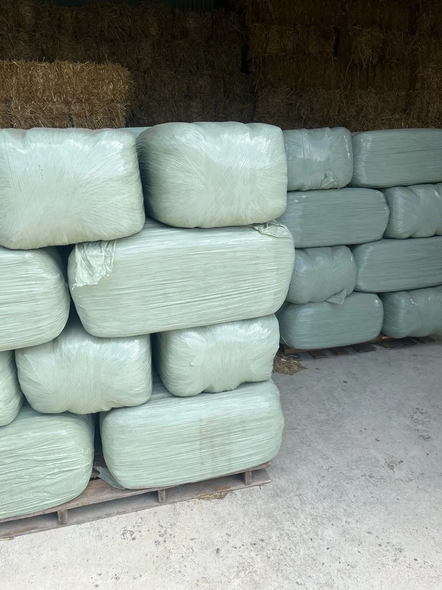 Haylage - Image 1