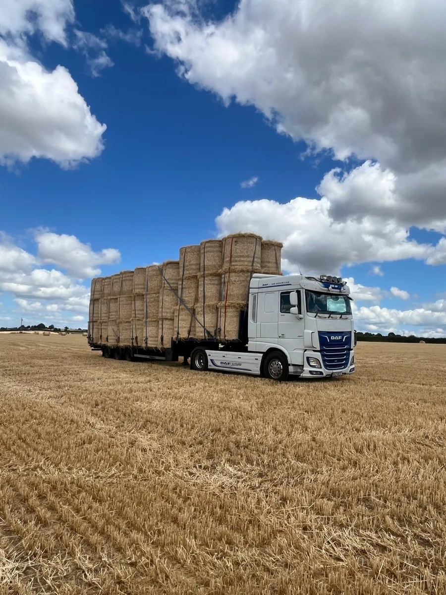 Round bales of winter barley straw. - Image 2