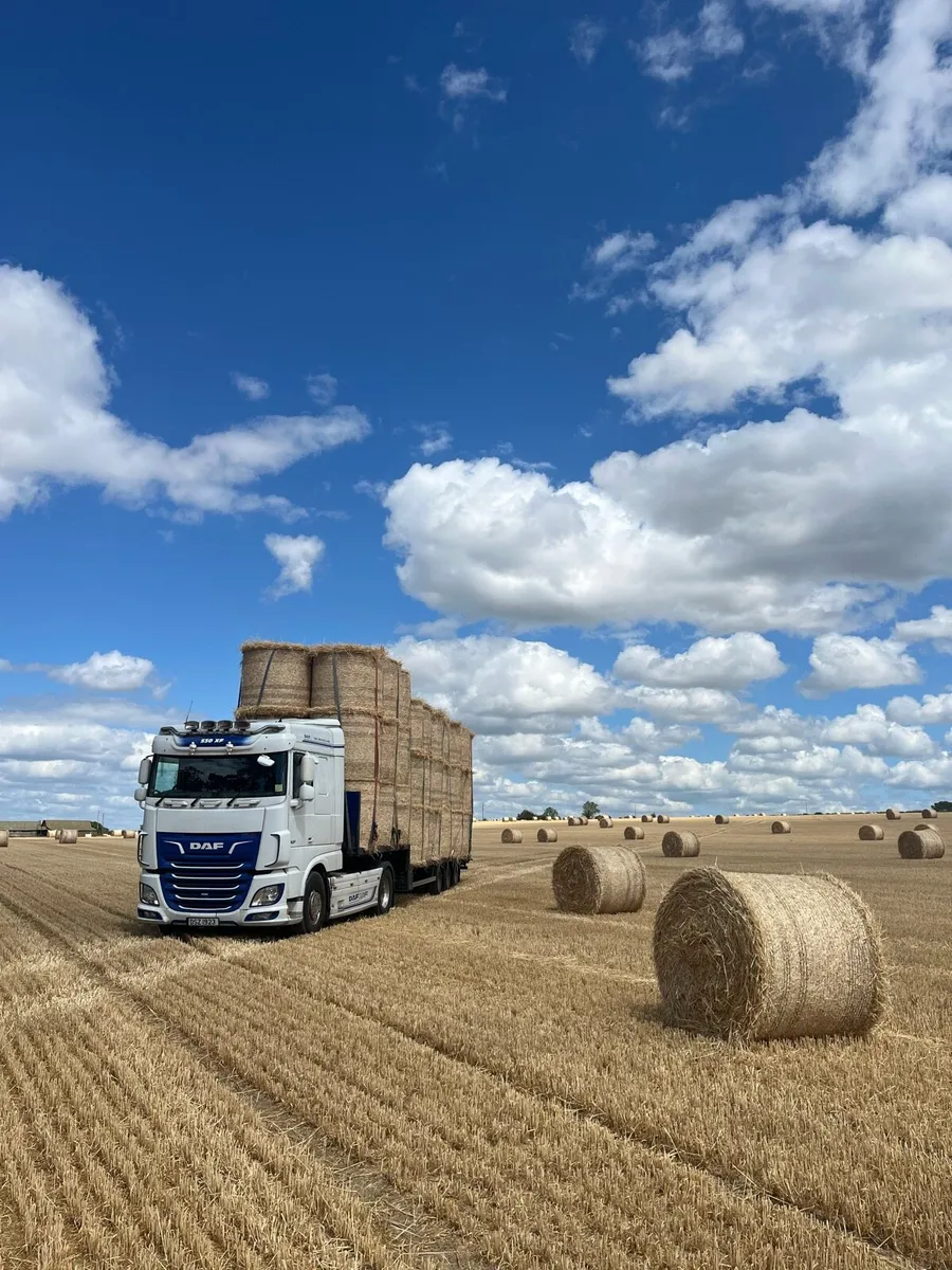 Round bales of winter barley straw. - Image 3
