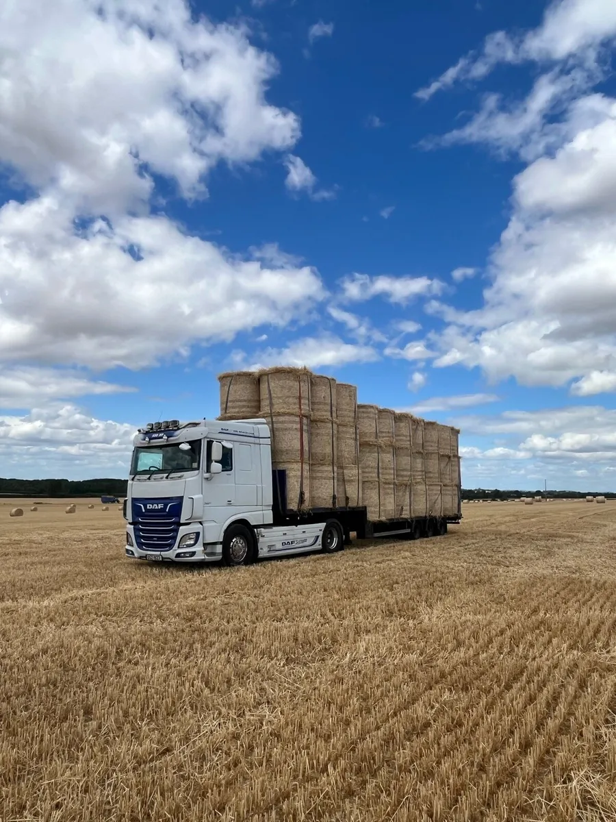 Round bales of winter barley straw. - Image 4