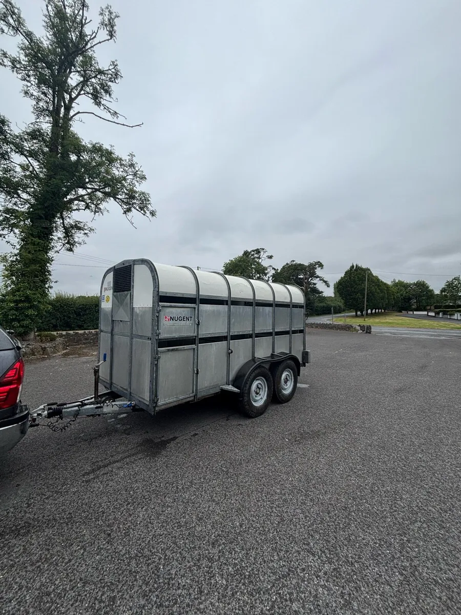 Nugent cattle trailer - Image 2