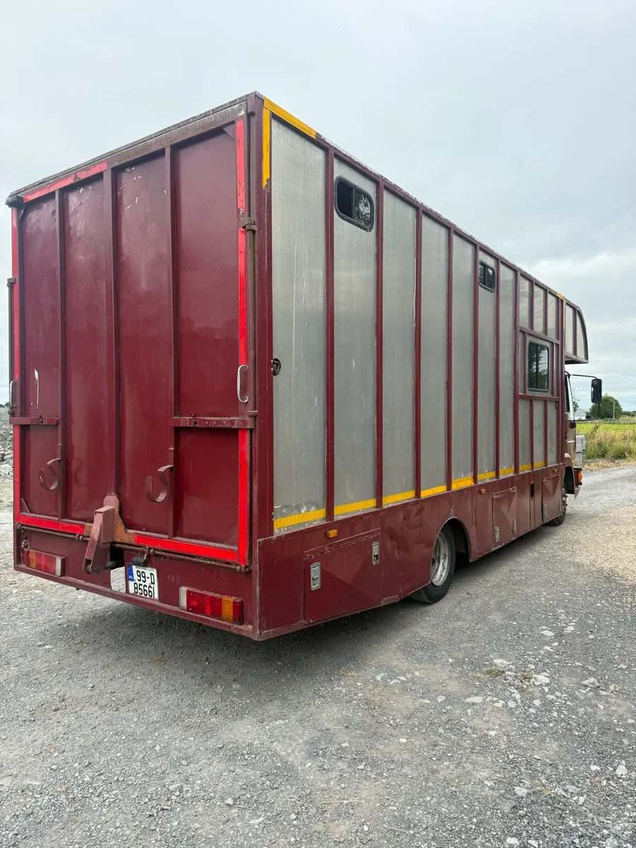 5stall horse truck - Image 3