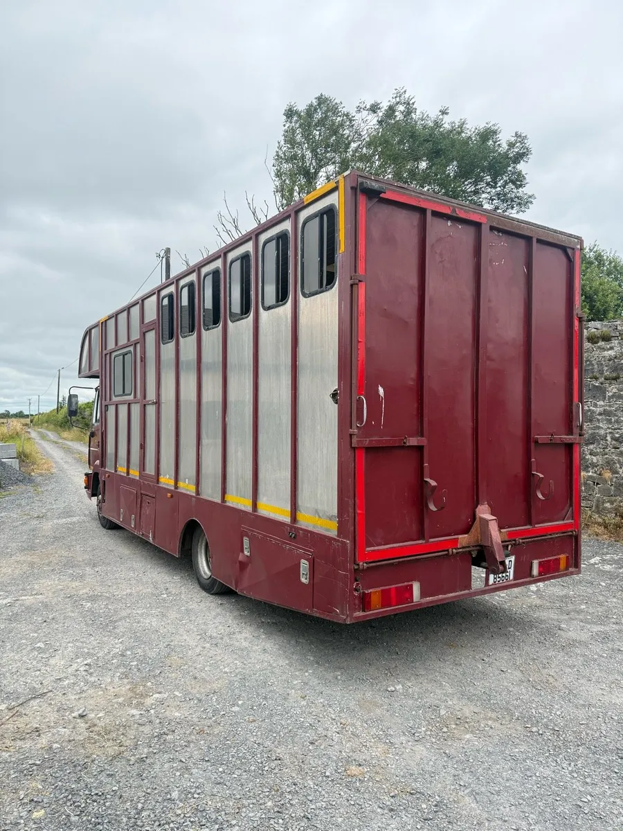 5stall horse truck - Image 2