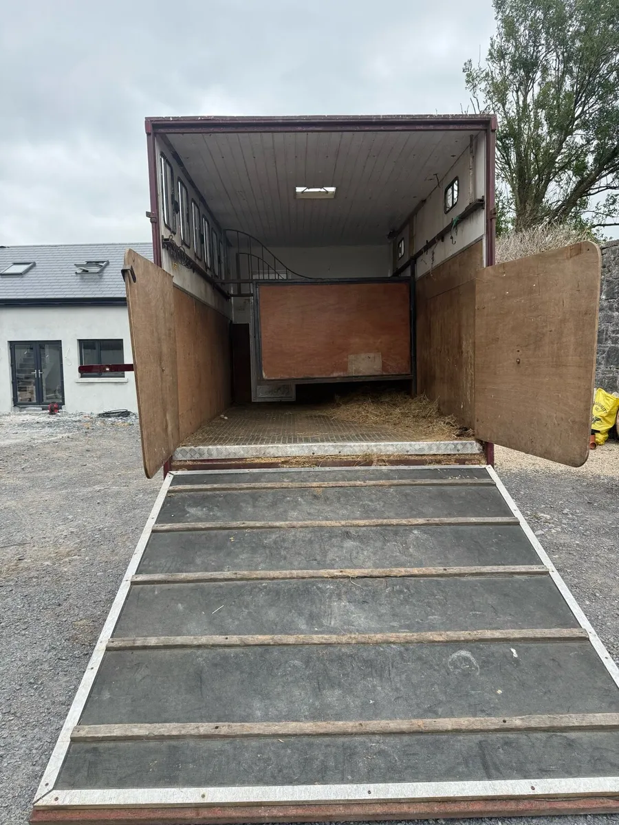 5stall horse truck - Image 4
