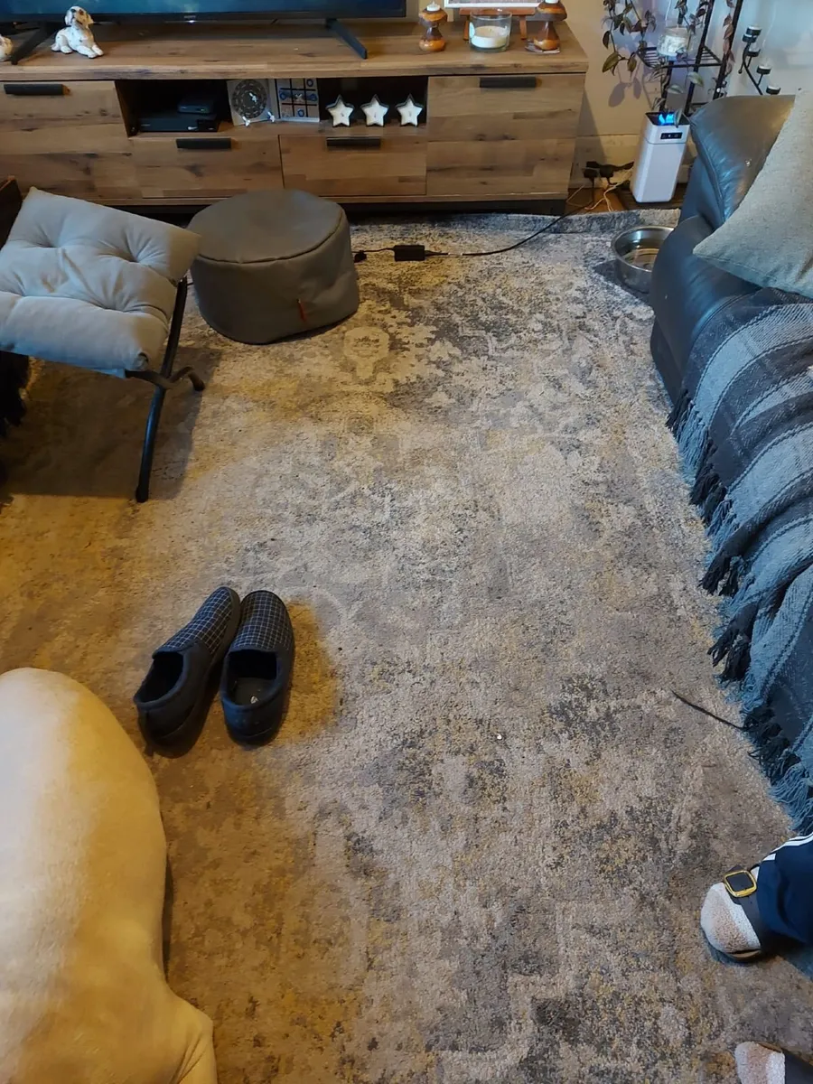 Rug - Image 2