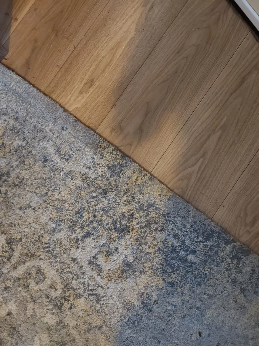 Rug - Image 1