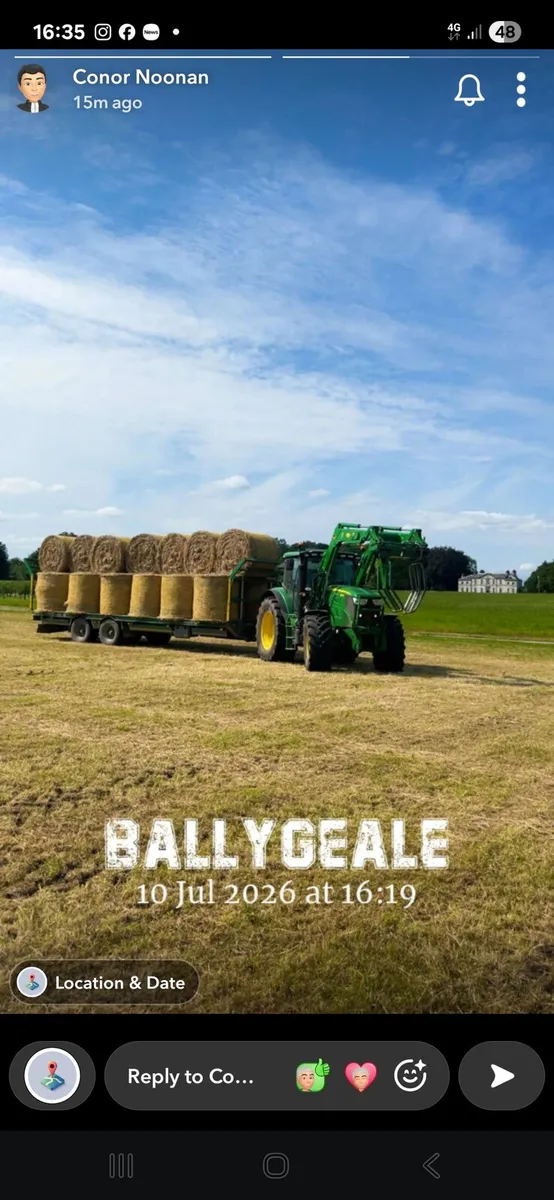 Silage and hay