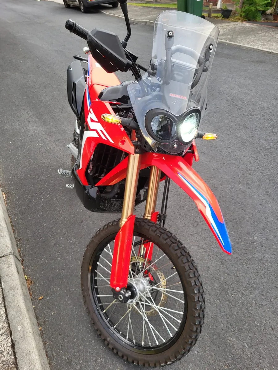 Crf 300 rally - Image 2