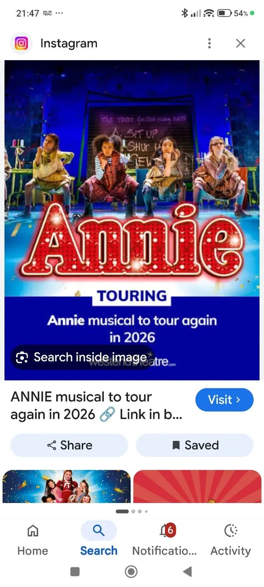 Tickets for Annie the Musical