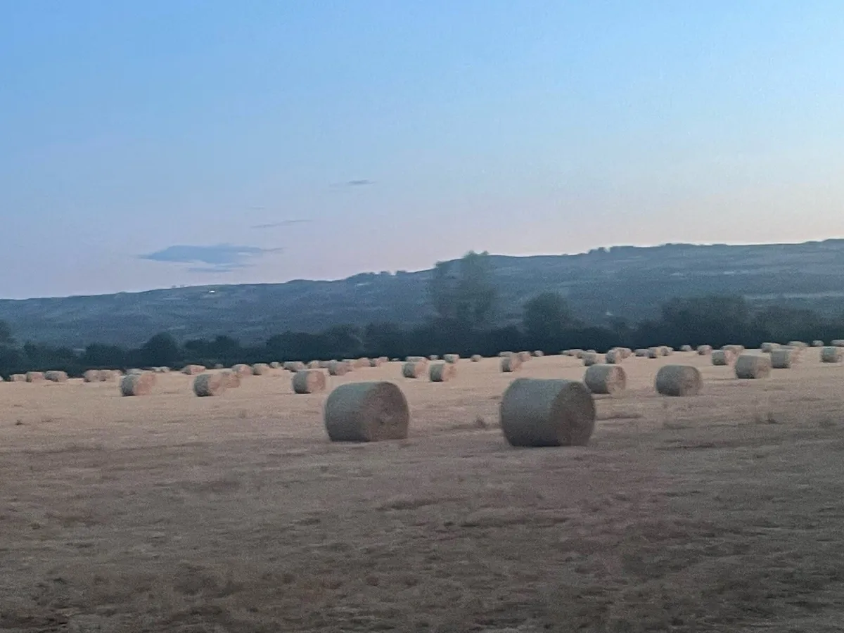 Straw bales - Image 2