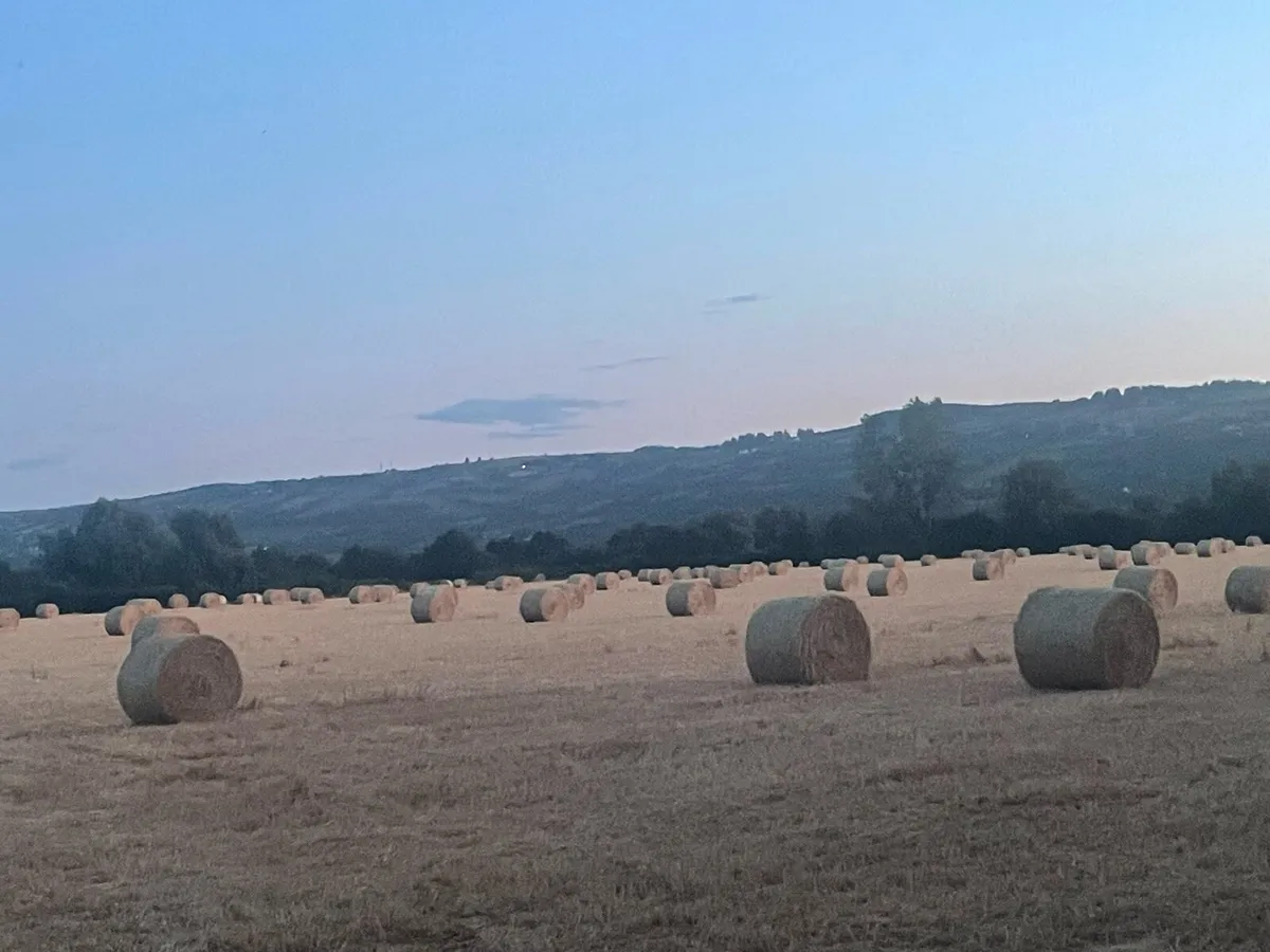 Straw bales - Image 4