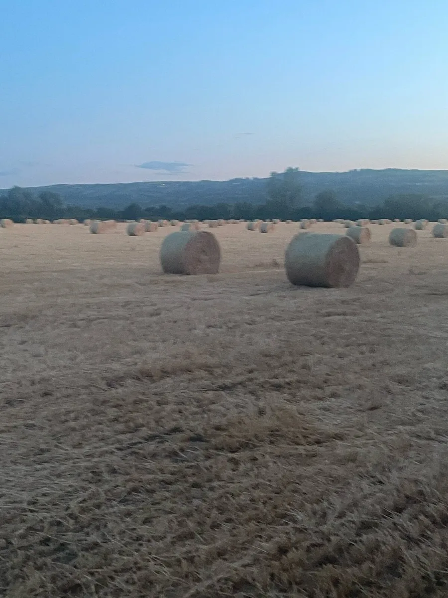 Straw bales - Image 1