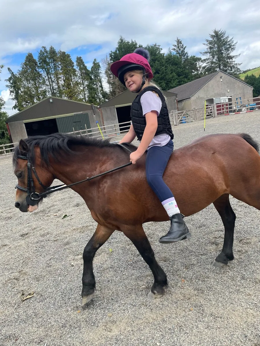 Pony - Image 1