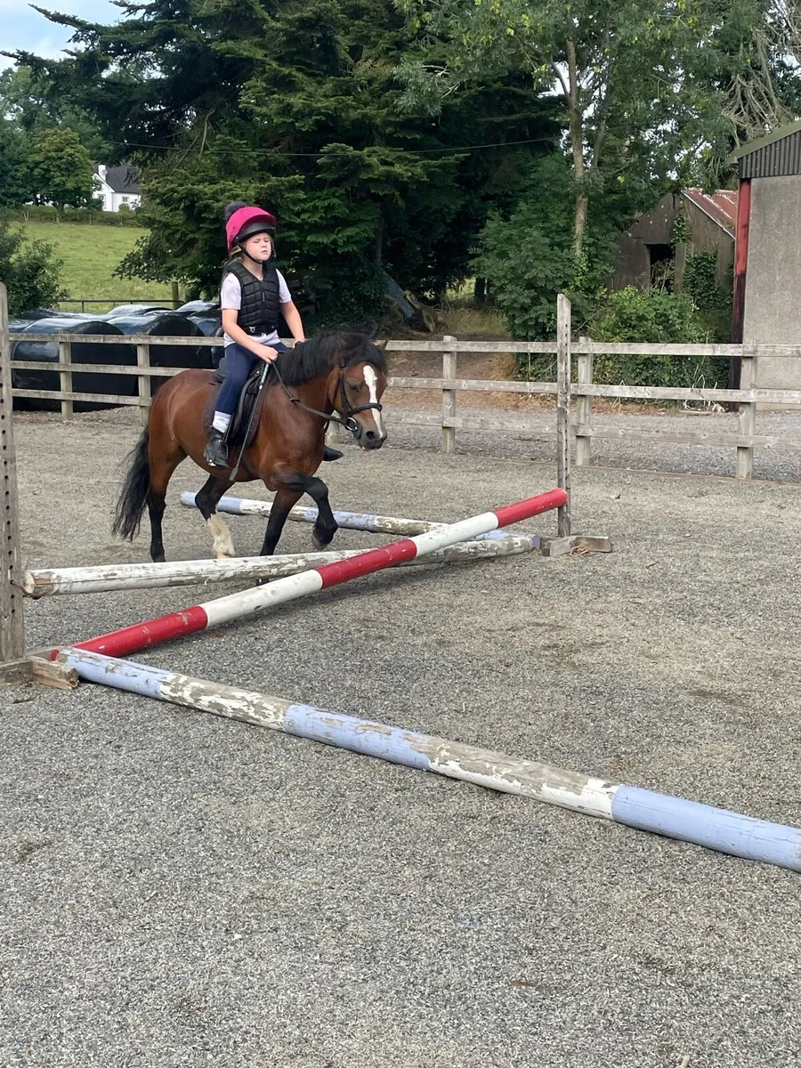 Super Pony - Image 2