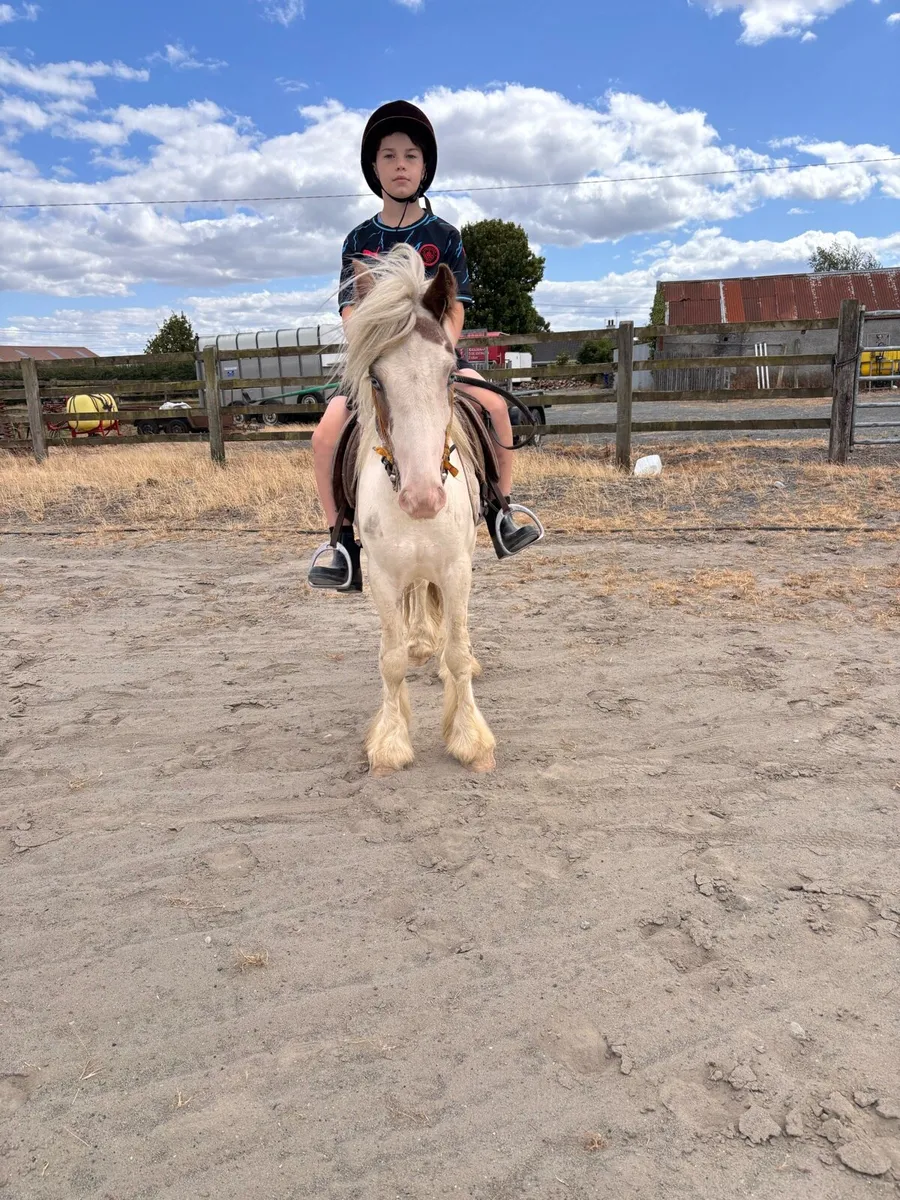 Pony - Image 3