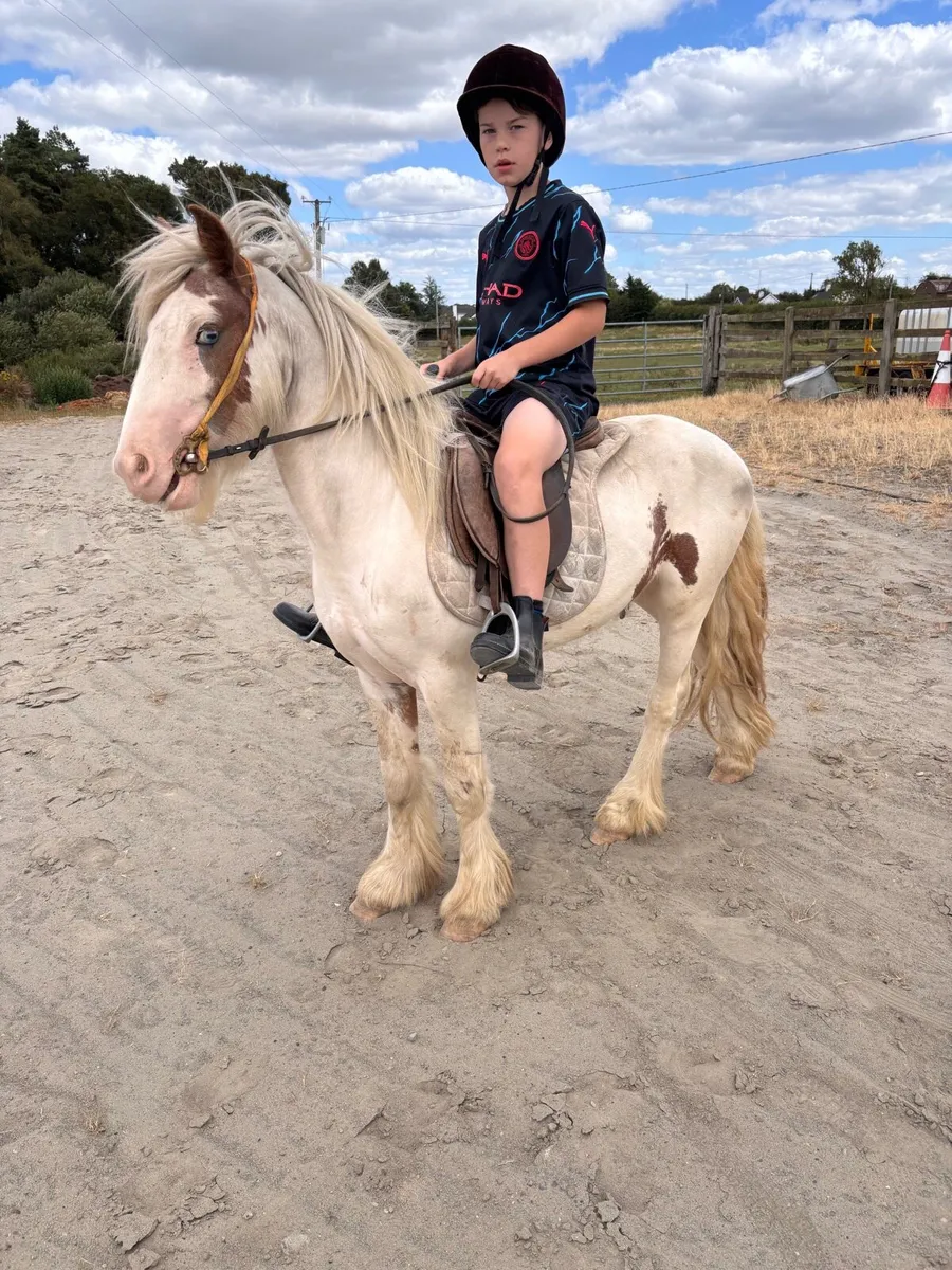 Pony - Image 2