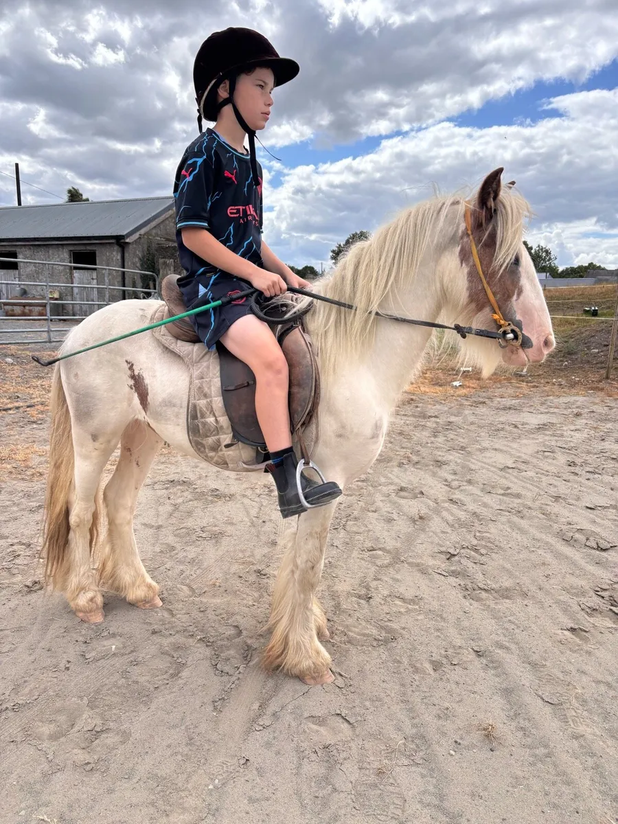 Pony - Image 1