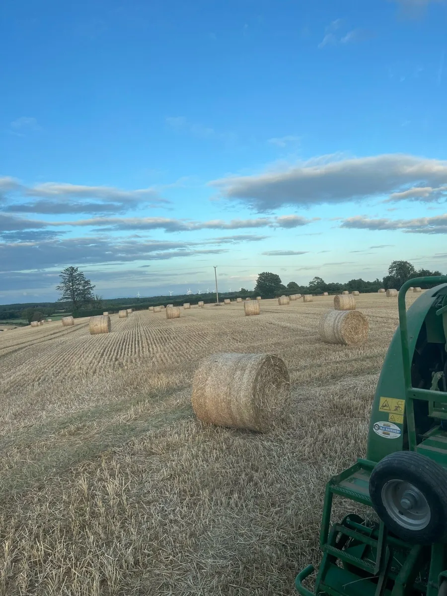 Wheaten straw - Image 1