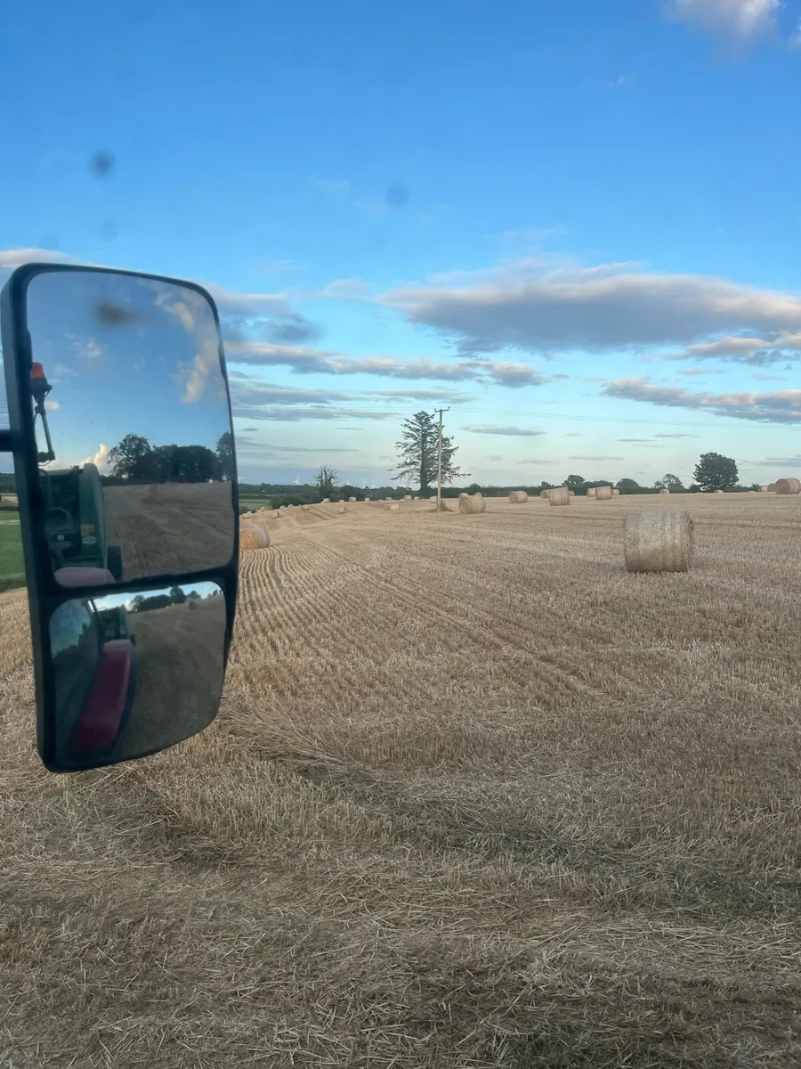 Wheaten straw - Image 2