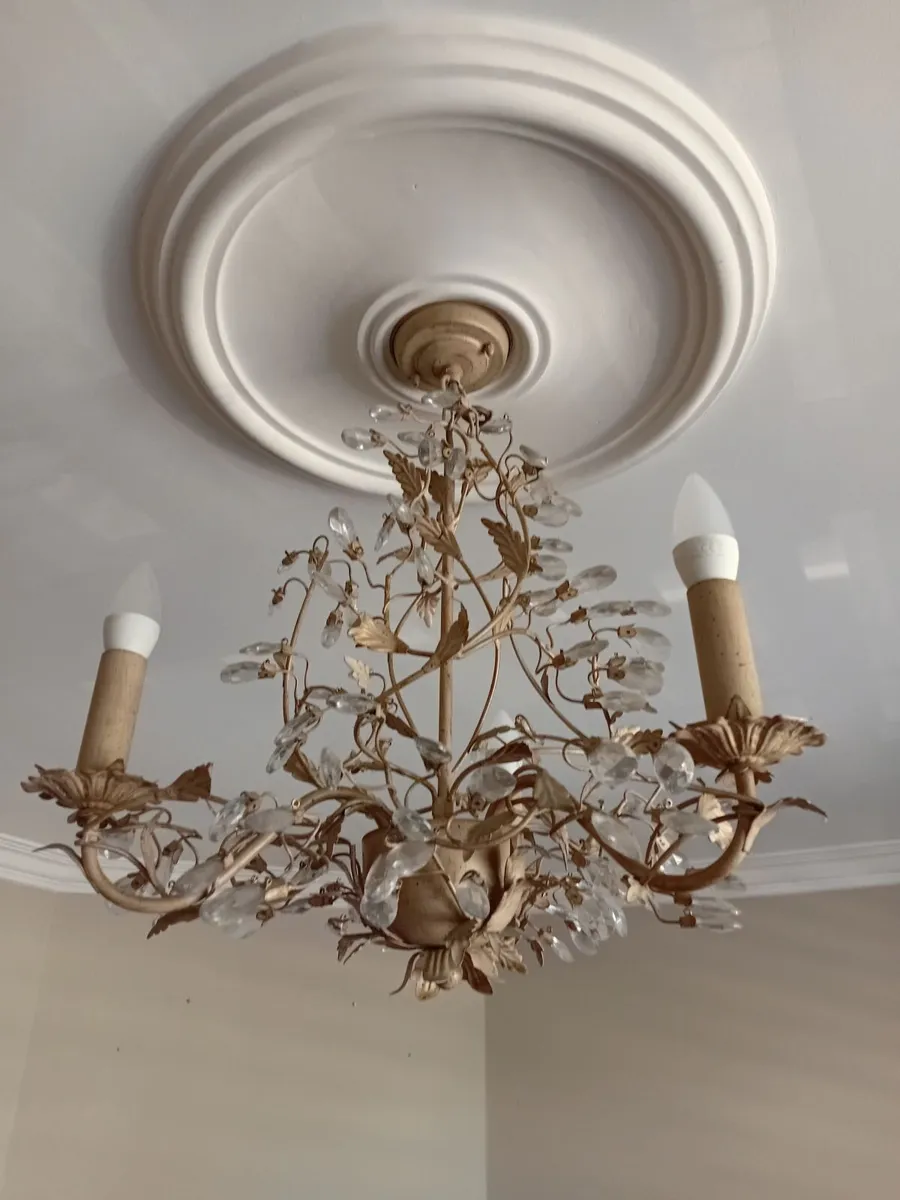 Pendant Light - Image 2